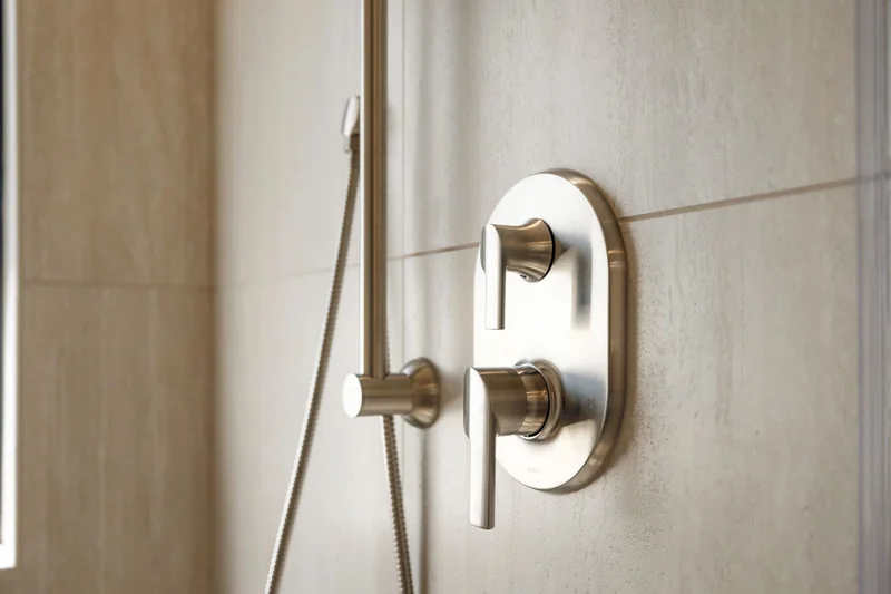 Shower control and handheld fixture detail